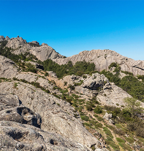 Paysage Alta Rocca - Zonza