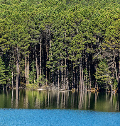 Lac dans l'Alta Rocca