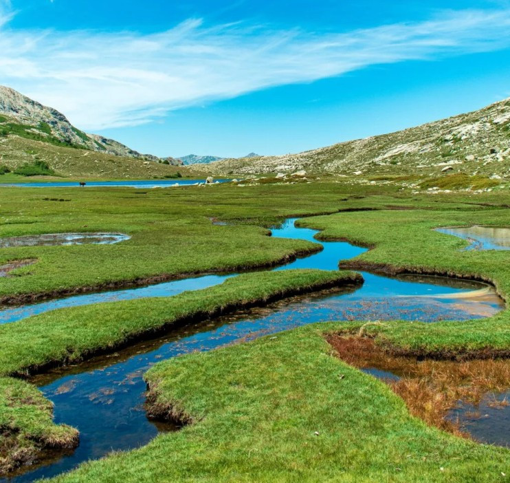 Plateau du cuscionu